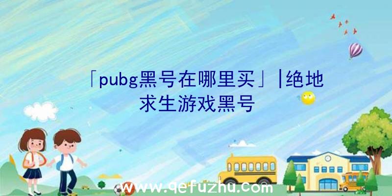 「pubg黑号在哪里买」|绝地求生游戏黑号